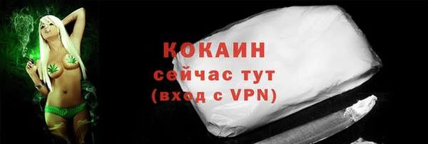 СК Алзамай